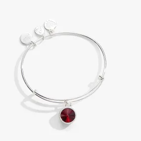 January Birthstone Charm Bangle, Scarlet